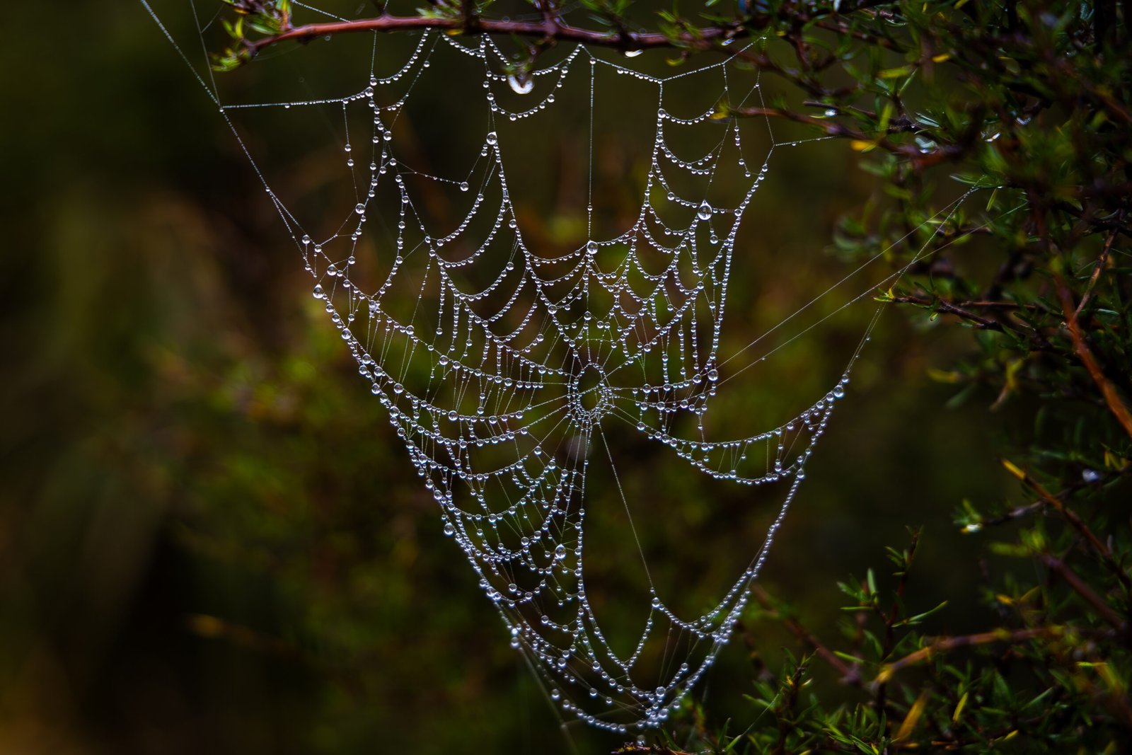 134A2253-Enhanced-NR-2